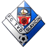 Slavicin Slavicin