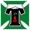 Deportes Temuco Deportes Temuco