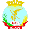 FC Ursidos Stauceni FC Ursidos Stauceni