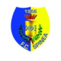 FC Spinea 1966 FC Spinea 1966