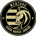 Wenzhou Professional Wenzhou Professional