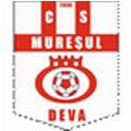 Muresul Deva Muresul Deva