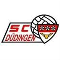 Dudingen Dudingen