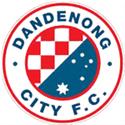 Dandenong City U21 Dandenong City U21