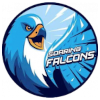 Adamson Falcons Adamson Falcons