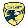 Tainan City Steel Tainan City Steel