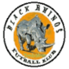 Black Rhinos Black Rhinos