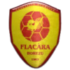 ACS Flacara Horezu ACS Flacara Horezu