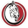 Jaguar FC Jaguar FC