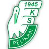 Pelikan Lowicz Pelikan Lowicz