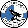 Corvinul Hunedoara Corvinul Hunedoara