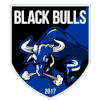 Black Bulls Black Bulls