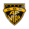 Fernandez Vial Fernandez Vial