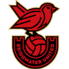 Bridgwater United Nữ Bridgwater United Nữ