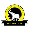 Copper Belts FC Nữ Copper Belts FC Nữ