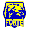 Forte FC Youth Forte FC Youth