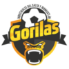Gorilas de Juanacatlan