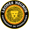Universidad Guadalajara III Universidad Guadalajara III