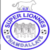 Super Lionnes Nữ Super Lionnes Nữ