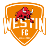 Foshan Athletics Nữ Foshan Athletics Nữ
