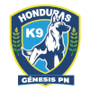 Genesis Genesis