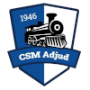 CSM Adjud CSM Adjud