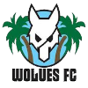 Wolues FC Wolues FC