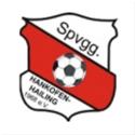 SpVgg Hankofen-Hailing SpVgg Hankofen-Hailing