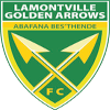 Golden Arrows Reserves Golden Arrows Reserves
