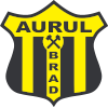 Armata Aurul Brad Armata Aurul Brad
