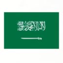 Saudi Arabia U17 Saudi Arabia U17