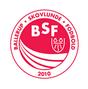 BSF BSF