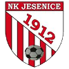 NK Jesenice NK Jesenice