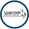 Marconi Stallions U20 Marconi Stallions U20
