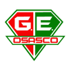 Gremio Osasco Youth Gremio Osasco Youth