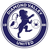 Diamond Valley United Diamond Valley United