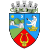 CS Municipal Lugoj CS Municipal Lugoj