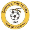 Cessnock City Hornets Cessnock City Hornets