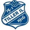 Tiller Tiller