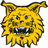 Ilves II Nữ Ilves II Nữ