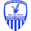 Falcons FC Falcons FC