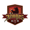 FK Dziugas Telsiai II FK Dziugas Telsiai II