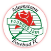 Adamstown Rosebud Reserves Adamstown Rosebud Reserves