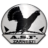 ACS Olimpic Zarnesti ACS Olimpic Zarnesti