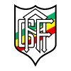 Gremio Atletico Farroupilha Gremio Atletico Farroupilha
