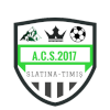 ACS 2017 Slatina Timis ACS 2017 Slatina Timis
