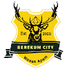 Berekum City Berekum City