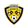 Carinthians Soccer (W) Carinthians Soccer (W)