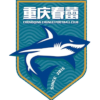 Chongqing Chunlei Chongqing Chunlei