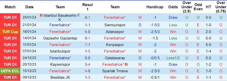 Nhận định Fenerbahce vs Ankaragucu, 23h00 ngày 28/1 - Ảnh 1